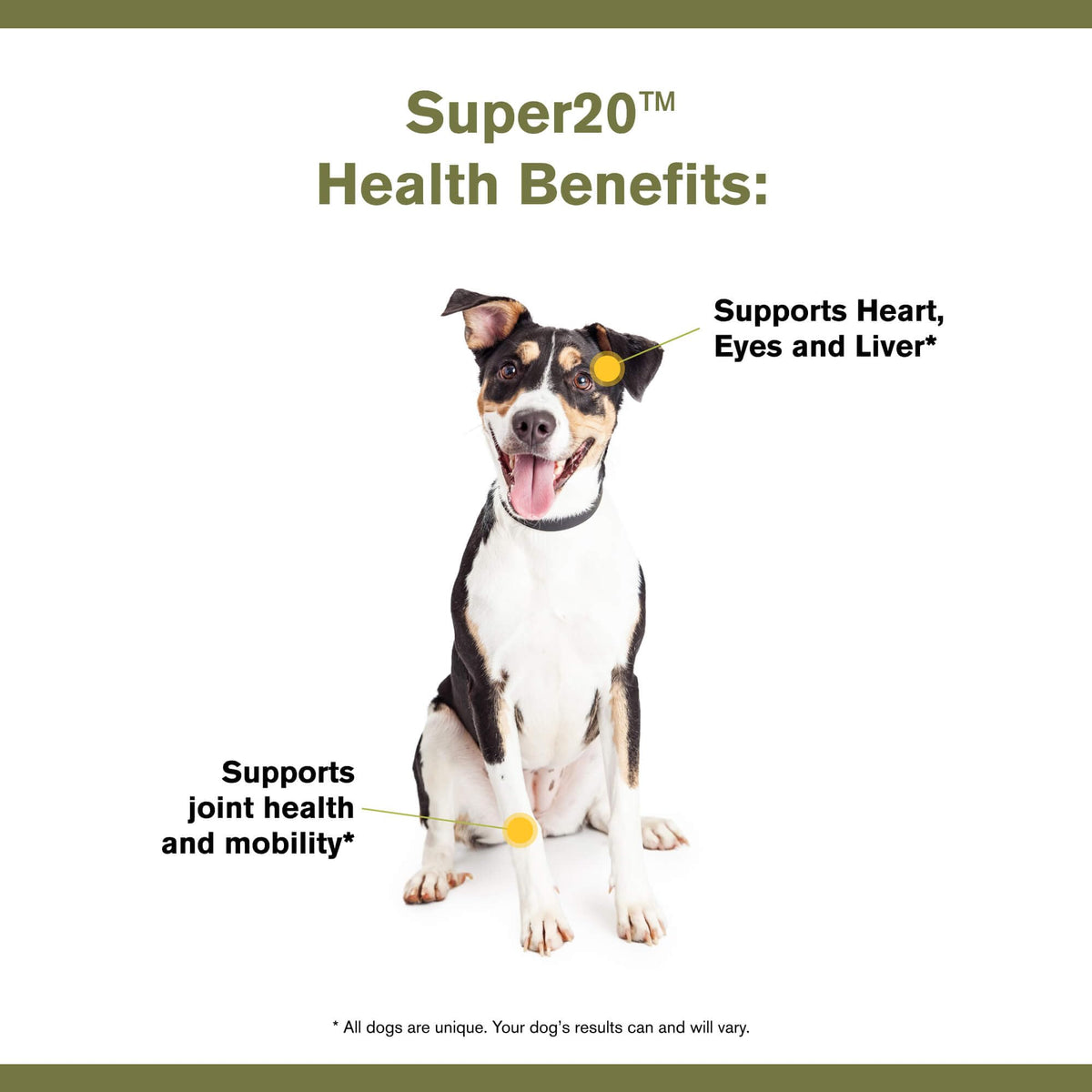 Multi-Benefit Supplement for Dogs L79748
