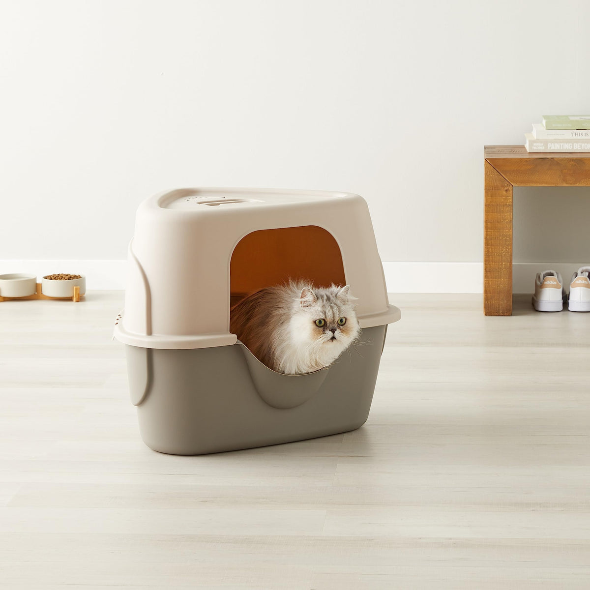 Charcoal Enclosed Cat Litter Box with Lid C837