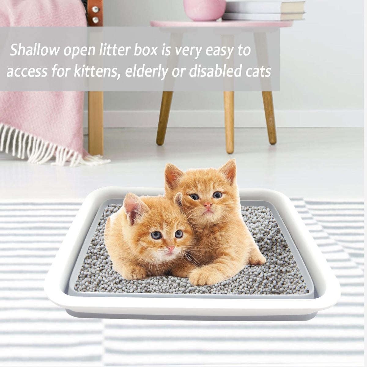 Collapsible Low Entry Small Cat Litter Box S4164