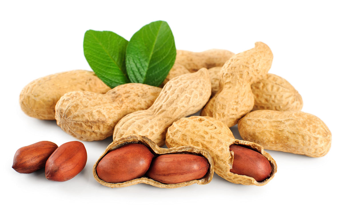 Raw Peanuts in Shell 2 Pound Bag (3-Pack) H145