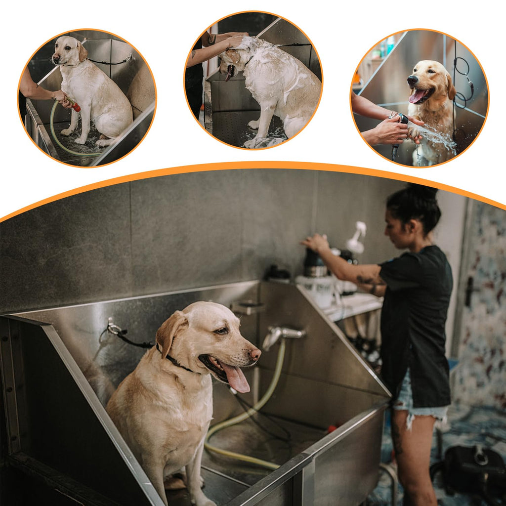 Stainless Steel Dog Washing Station with Stairs E1927