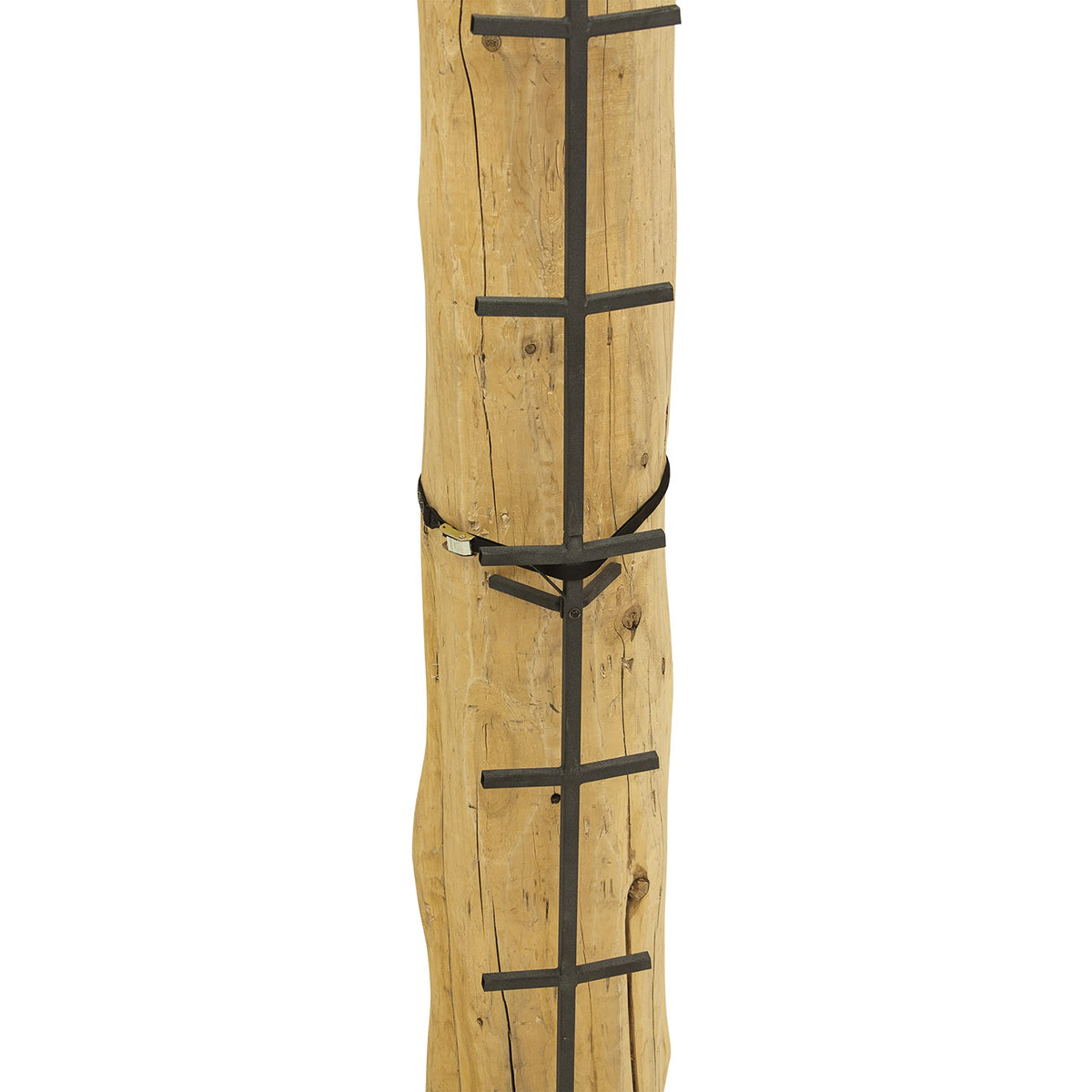 Tree Climbing System with Non-Slip Coating X312