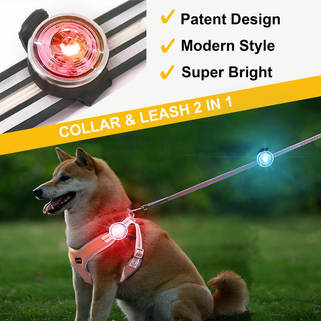 2-Pack Rechargeable Dog Collar Lights T1646
