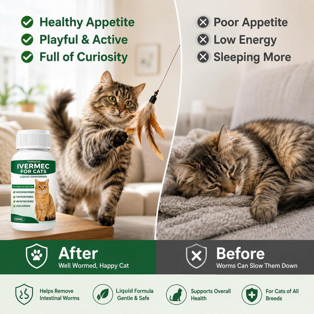 Broad Spectrum Cat Dewormer for Tapeworms, Roundworms and Hookworms Y9024