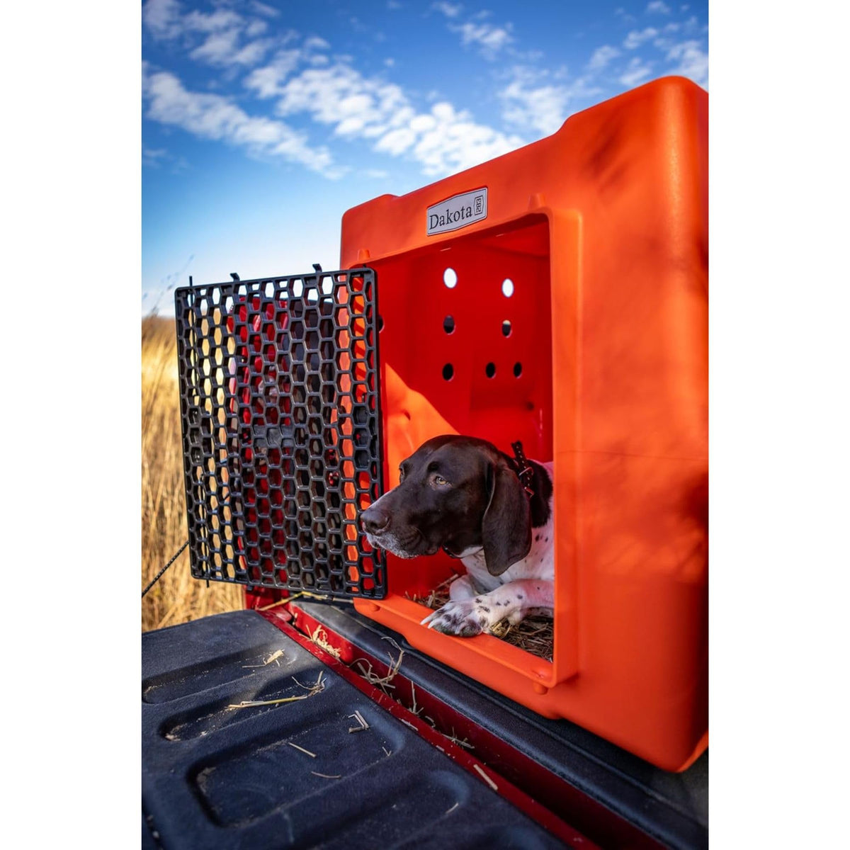 Orange Large Dog Crate D40215