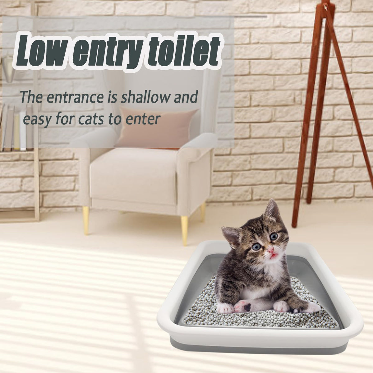 Collapsible Low Entry Small Cat Litter Box S4164