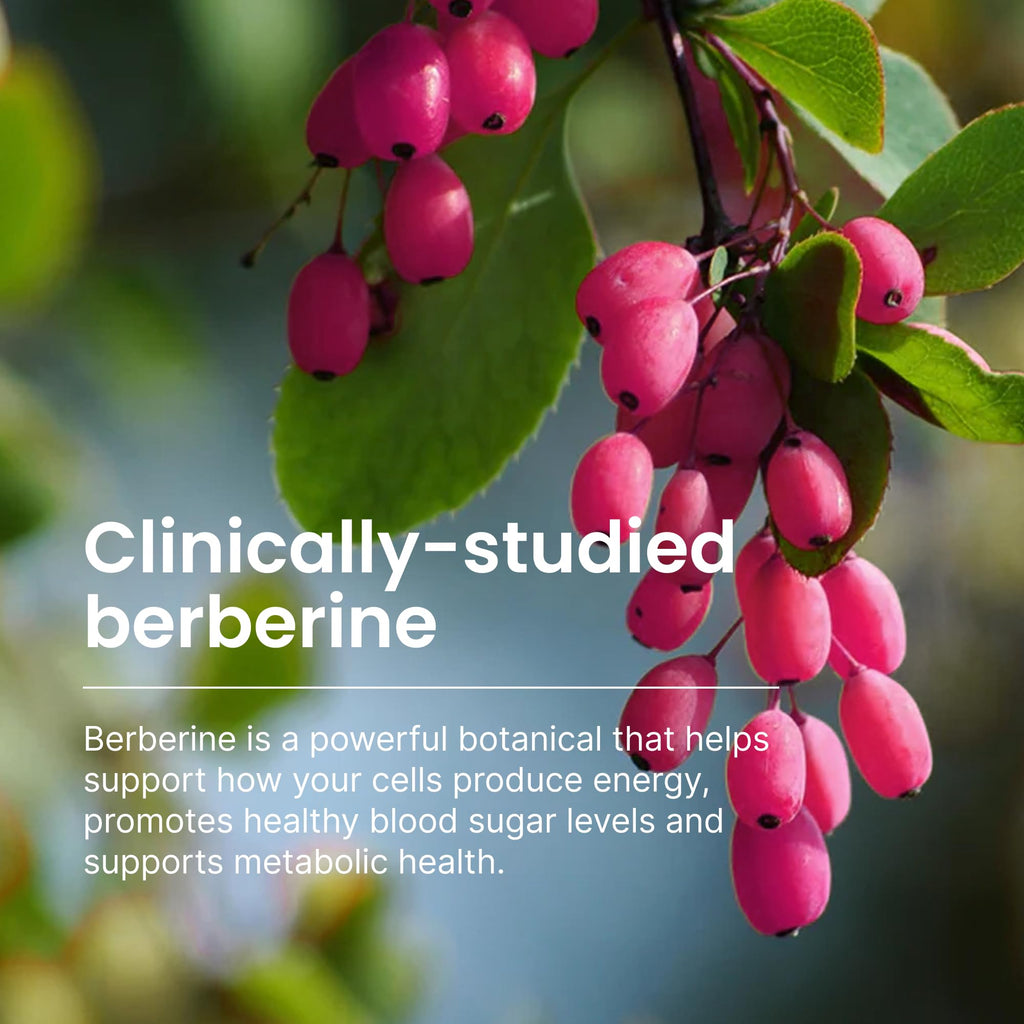 550mg Berberine Capsules 30 Ct H97588