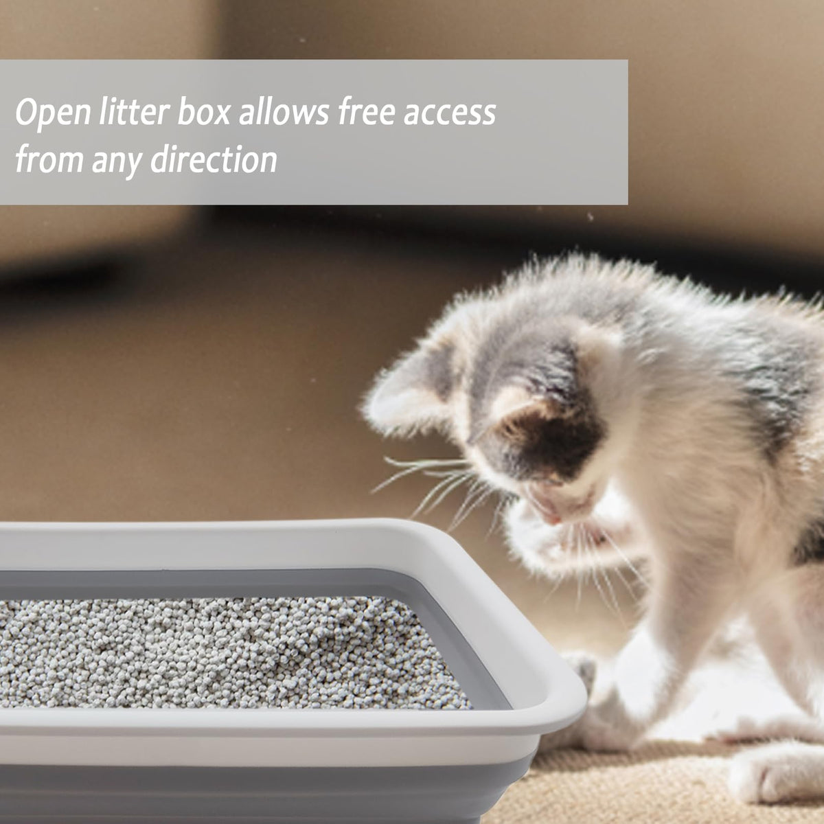 Collapsible Low Entry Small Cat Litter Box S4164
