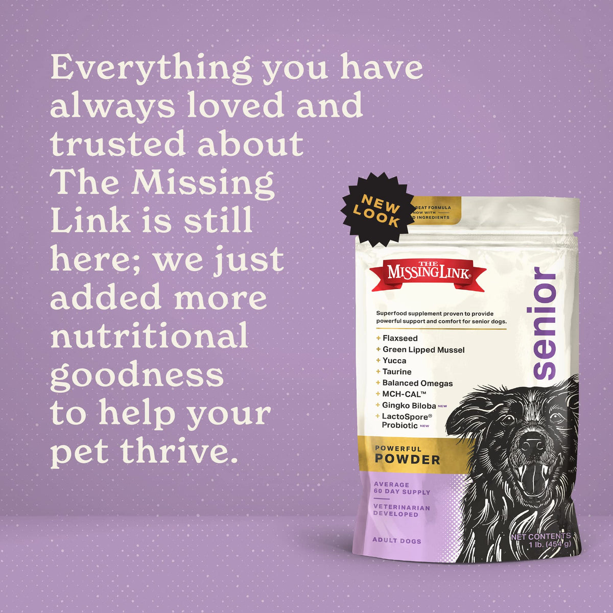 Senior Dog Supplement Powder 1lb Bag F835