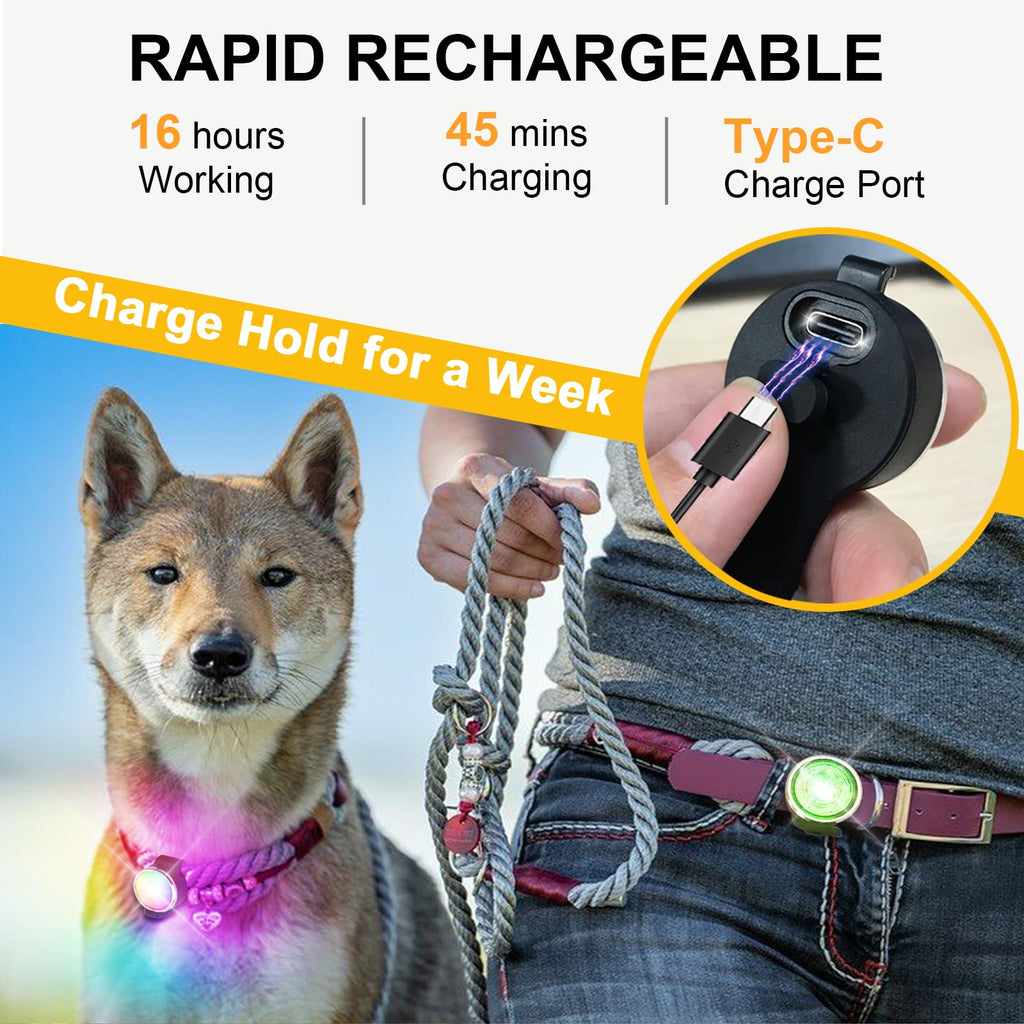 2-Pack Rechargeable Dog Collar Lights T1646