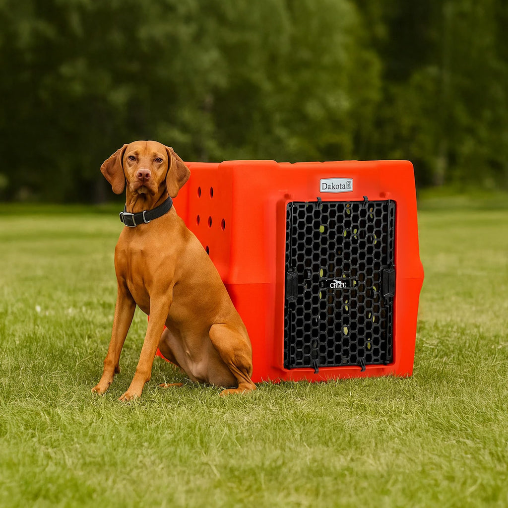 Orange Large Dog Crate D40215