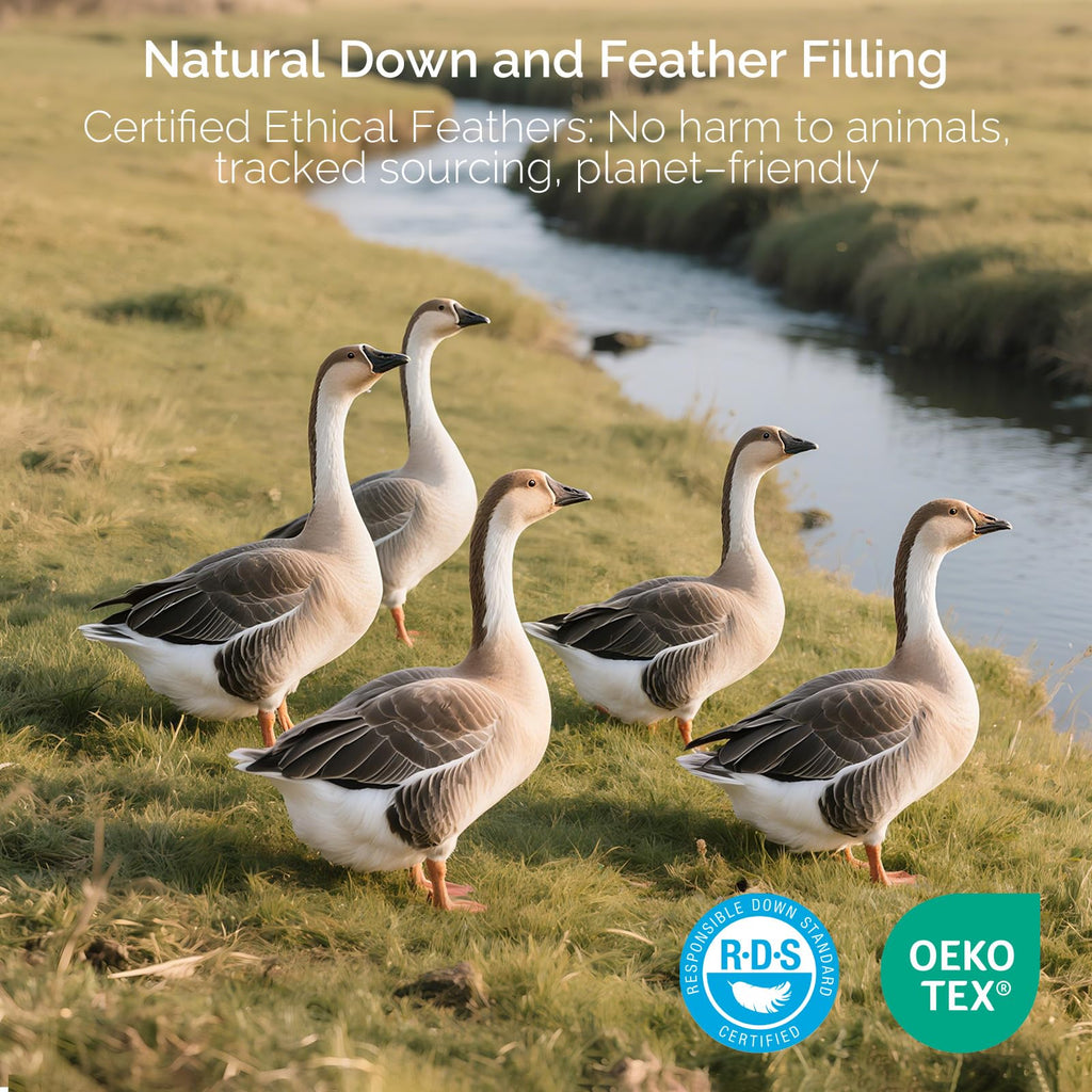 Goose Feather and Down King Size Pillows Set of 2 Z236