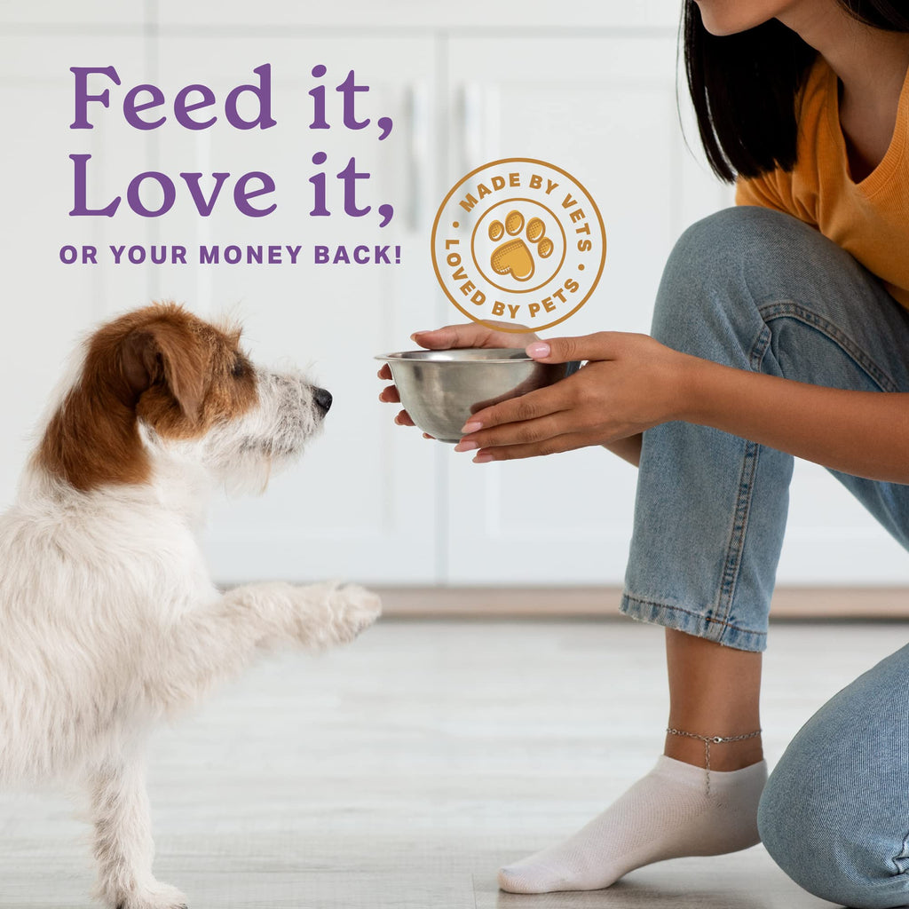Senior Dog Supplement Powder 1lb Bag F835
