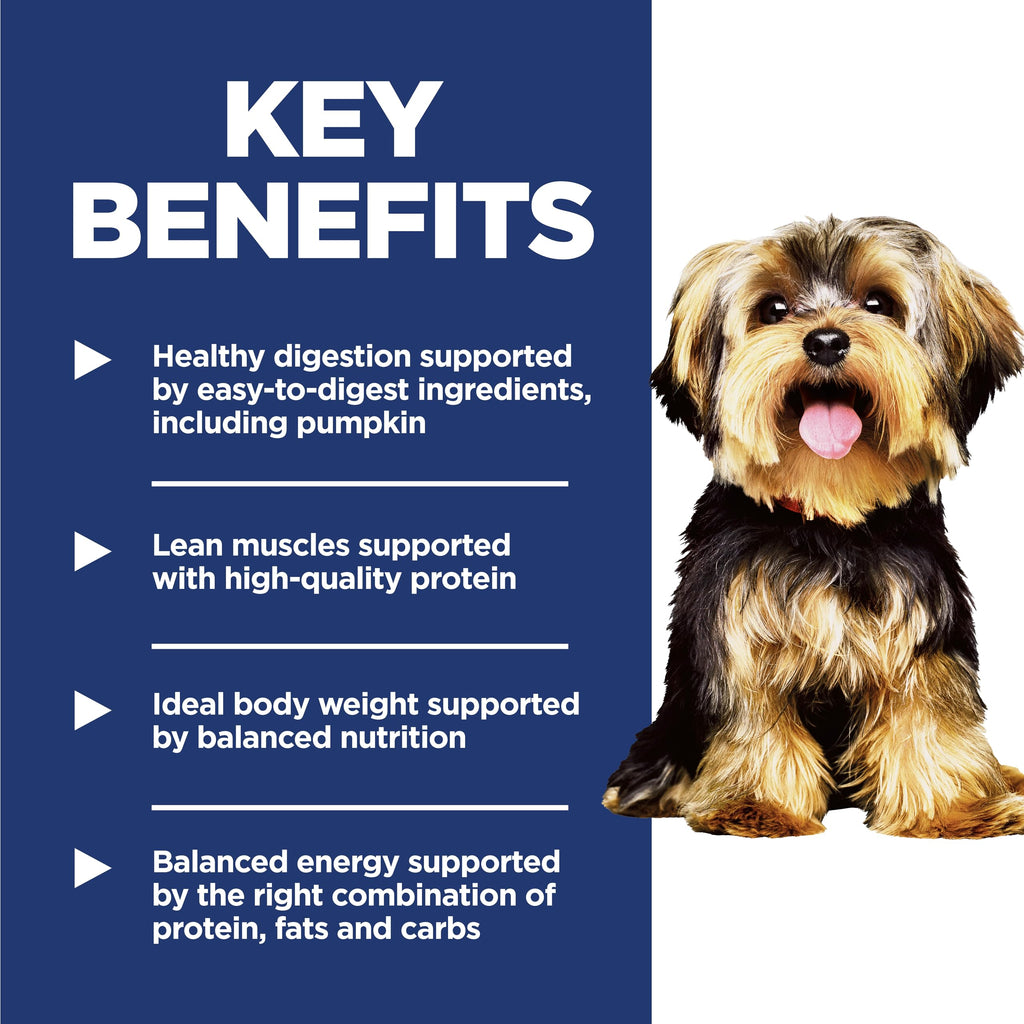 Dry Dog Food G13992