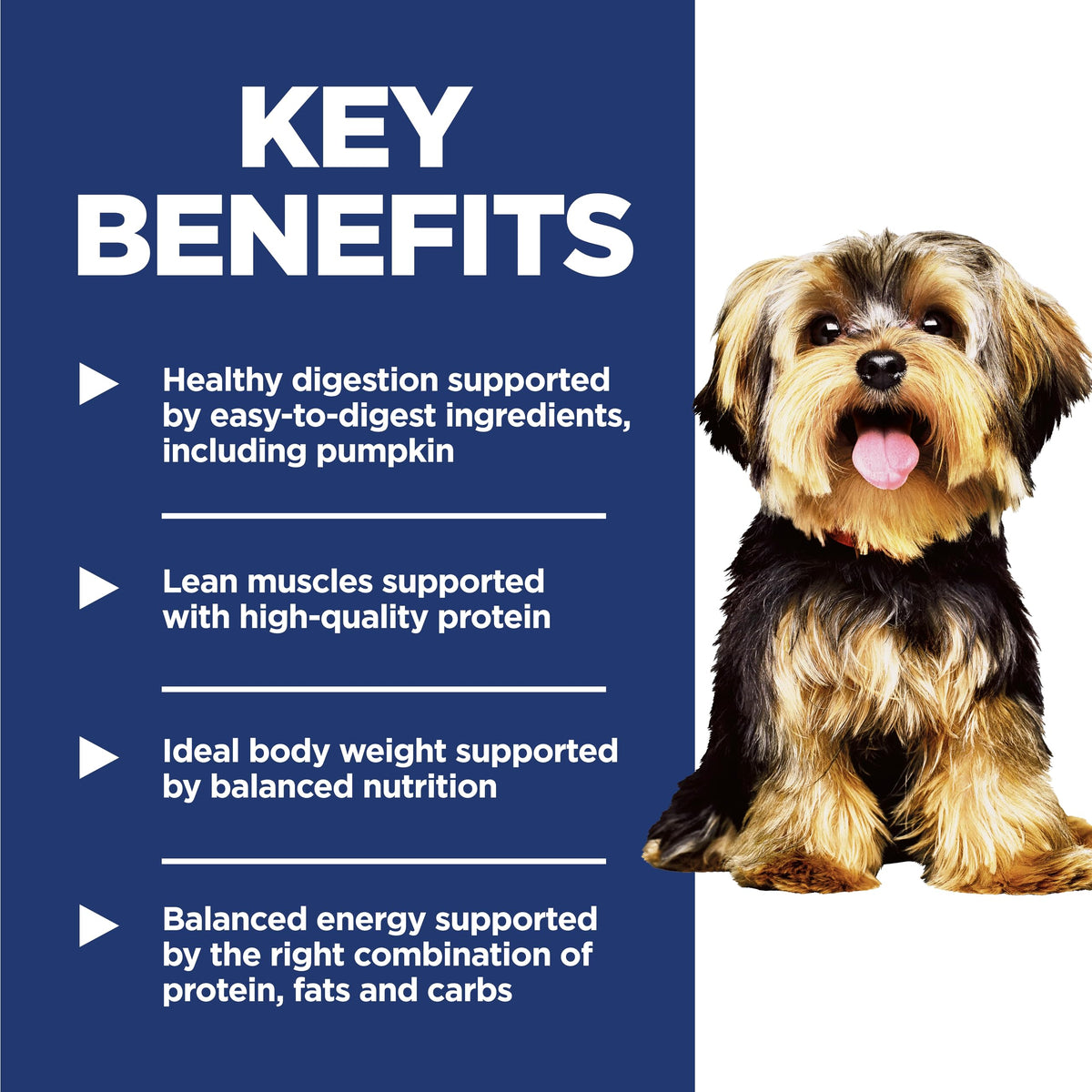 Dry Dog Food G13992