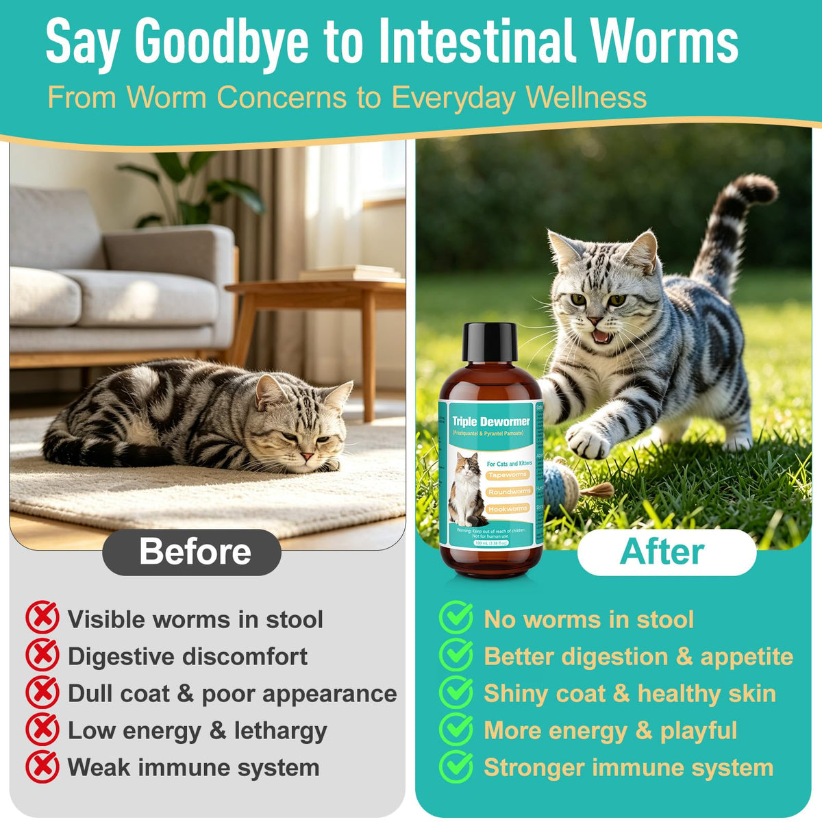 Cat Dewormer Liquid T9803