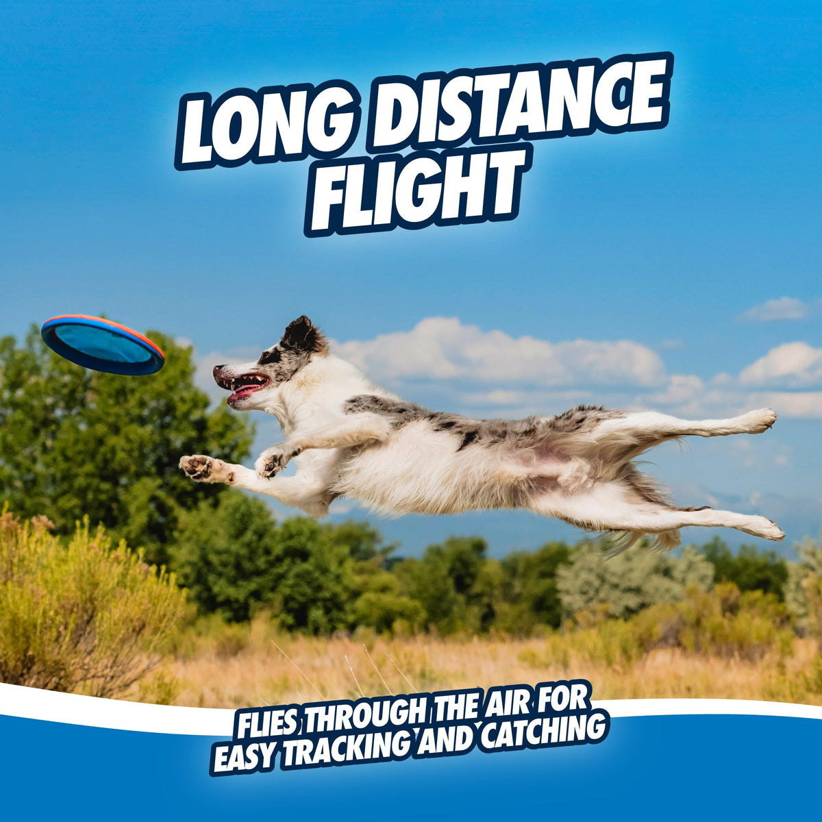 Flying Disc Dog Toy Large F3840