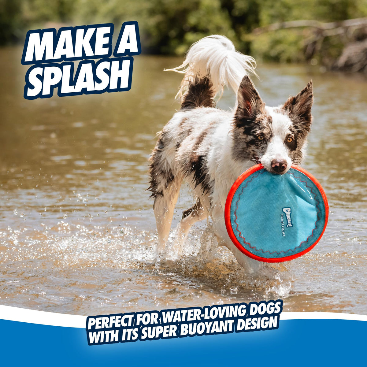 Flying Disc Dog Toy Large F3840