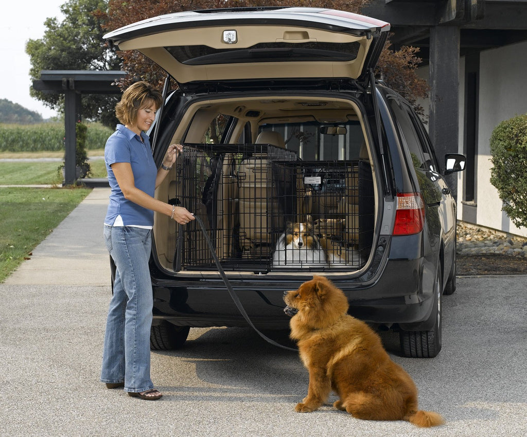 Double Door Folding Metal Dog Crate T58879