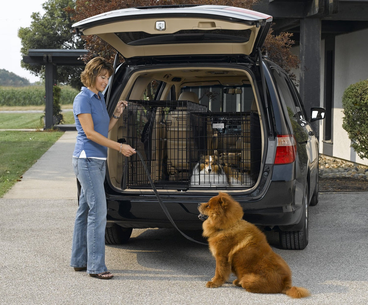 Double Door Folding Metal Dog Crate T58879