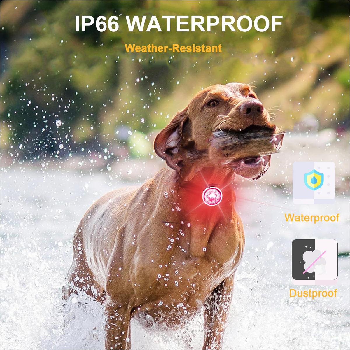 2-Pack Rechargeable Dog Collar Lights T1646