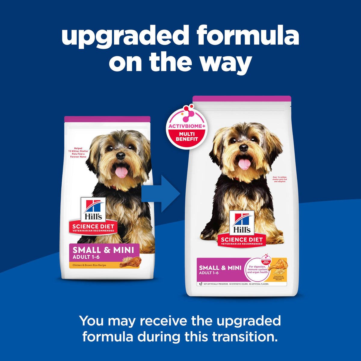 Dry Dog Food G13992