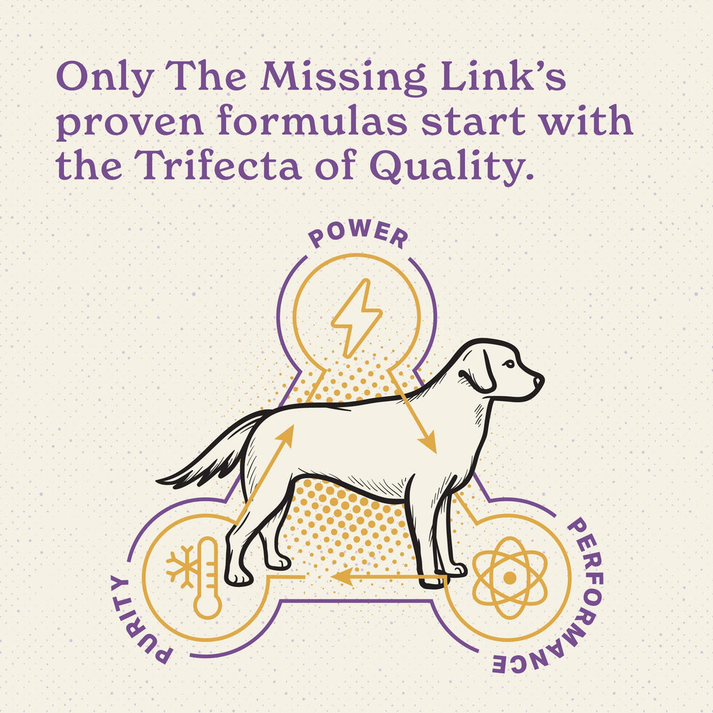 Senior Dog Supplement Powder 1lb Bag F835
