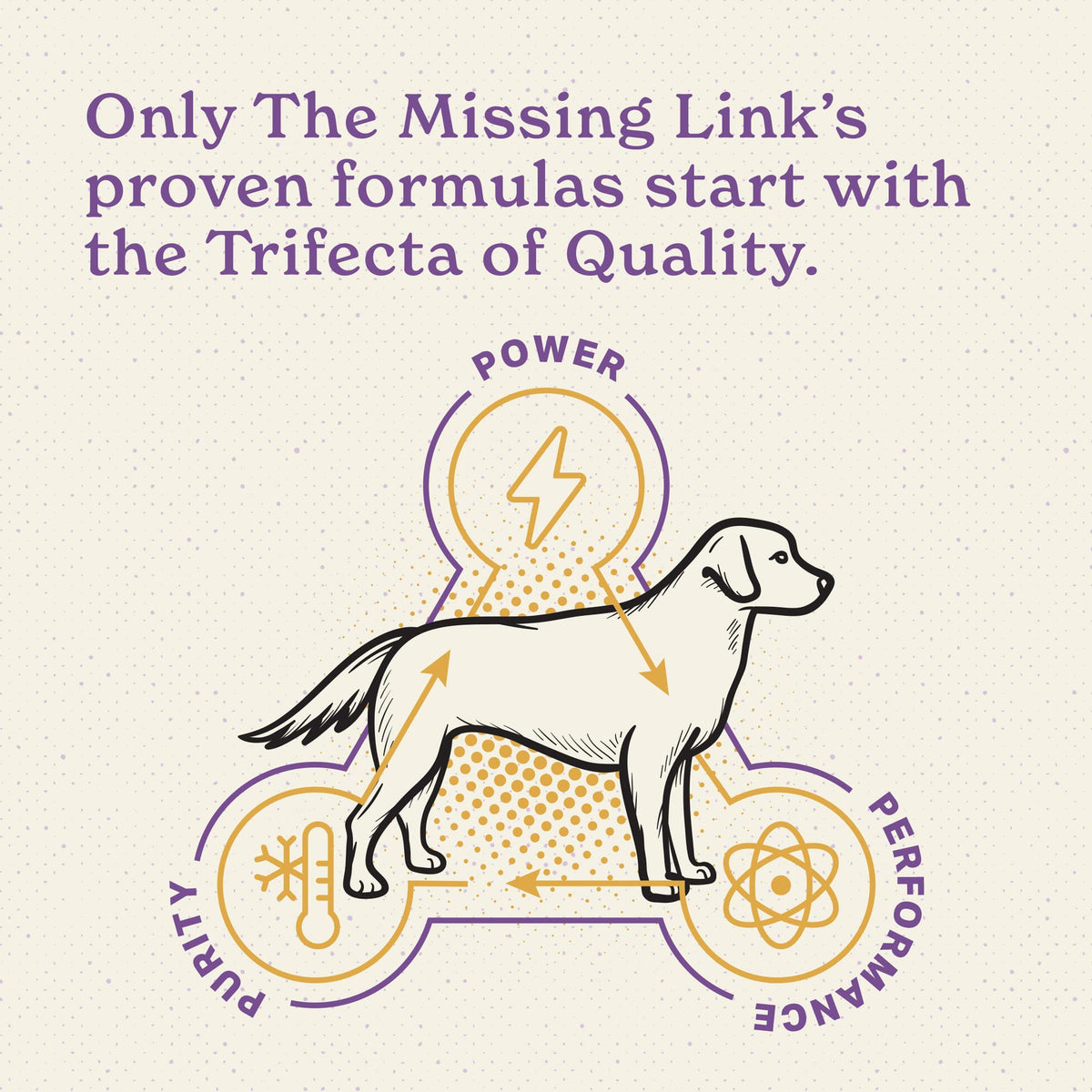 Senior Dog Supplement Powder 1lb Bag F835