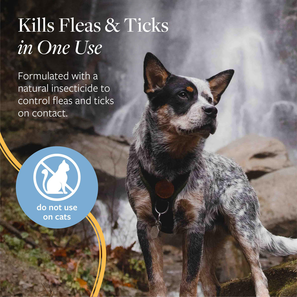 Flea & Tick Spray for Dogs 8 oz J7751