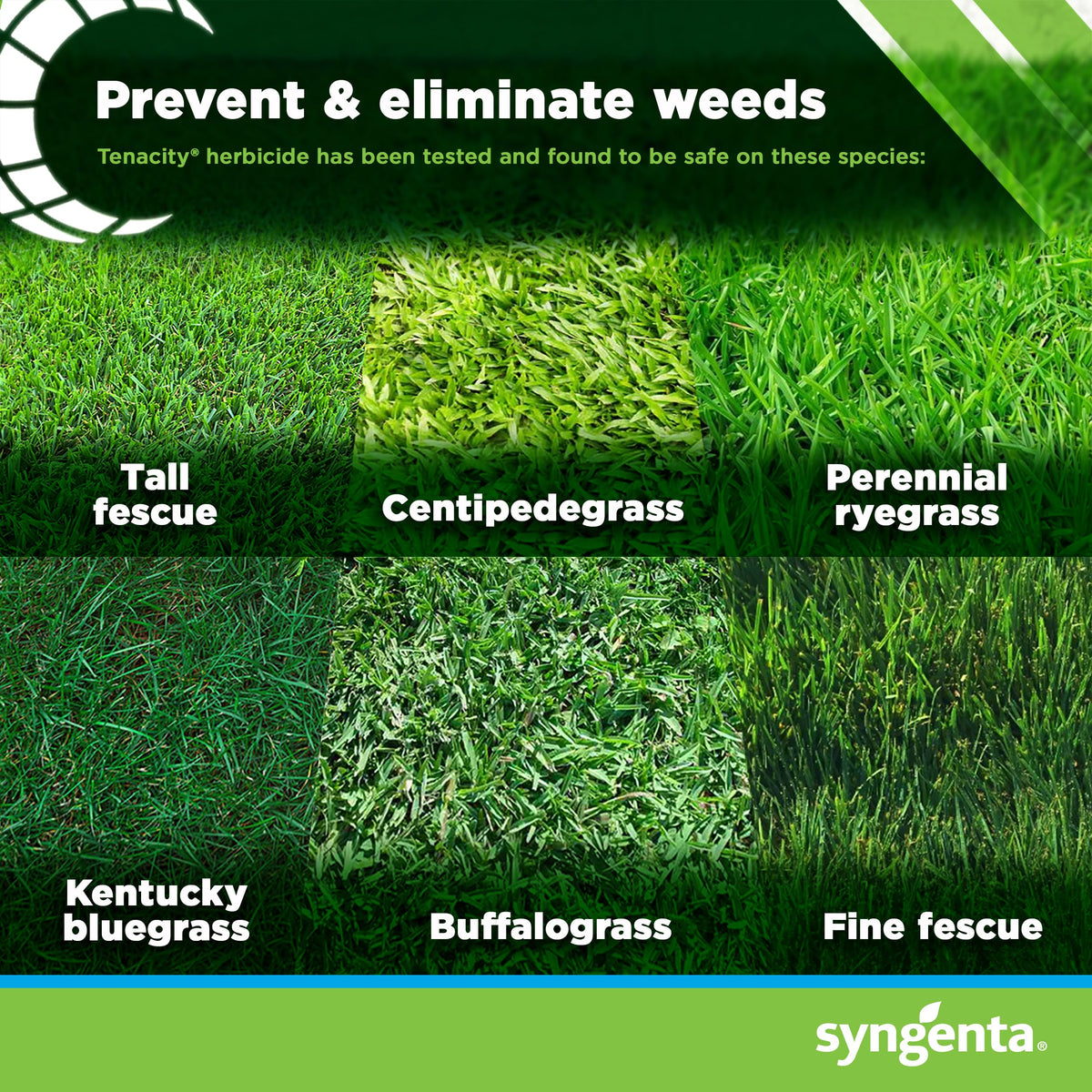 8oz Herbicide K1836