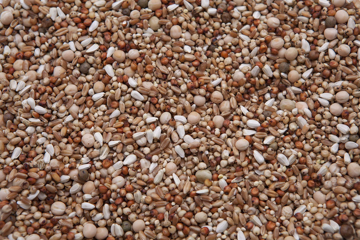 No Corn Special Mix (13.5%) (20) H4156